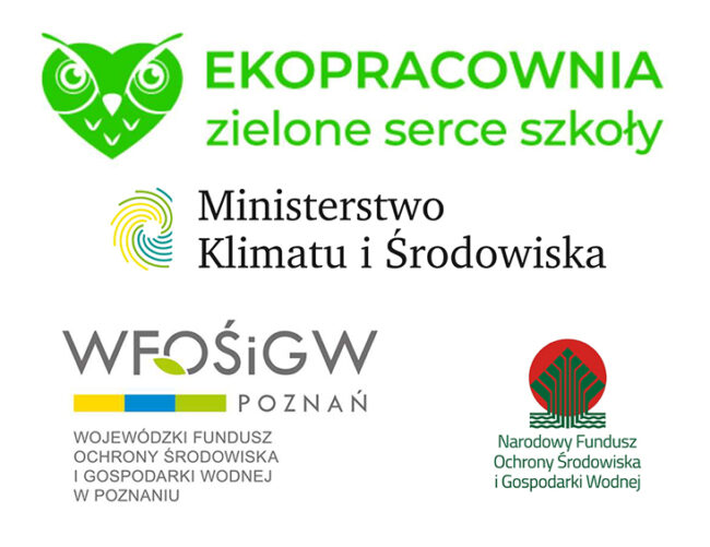 EKOPRACOWNIA-fut