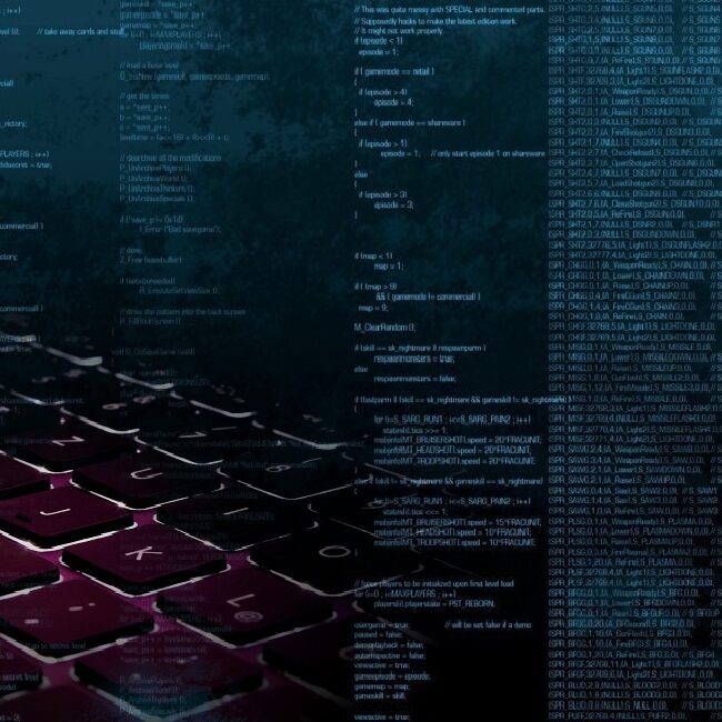 programista programista